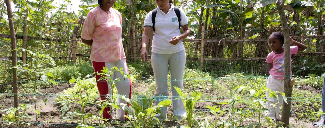 Action sociale agriculture