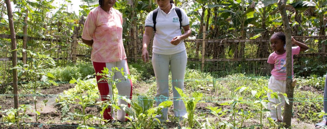 Action sociale agriculture