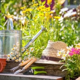 Agenda du mois de Juin