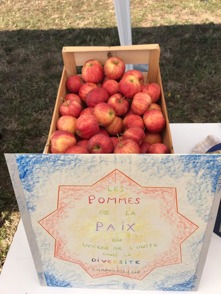 Pommes de la paix - Chapareillan