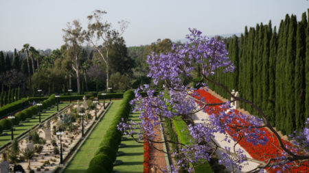 Jardins de Bahji